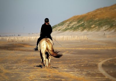 horse, horsewoman, beach